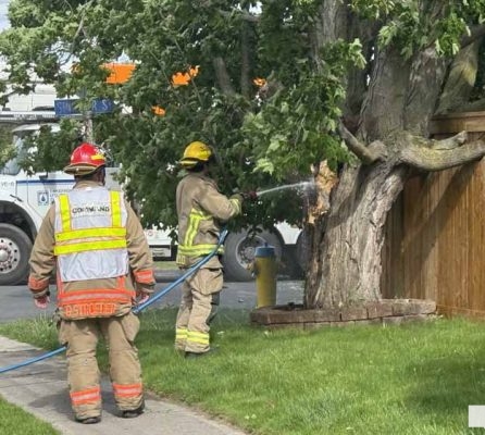 June 6, 2026 Tree on Hydro Wires Cobourg1300