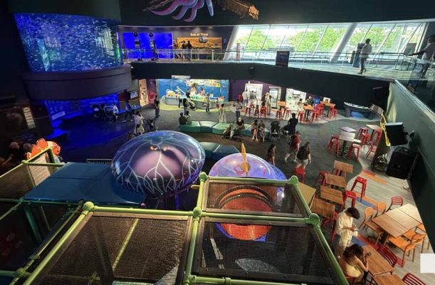 June 7, 2026 Ripleys Aquarium of Canada Toronto1380