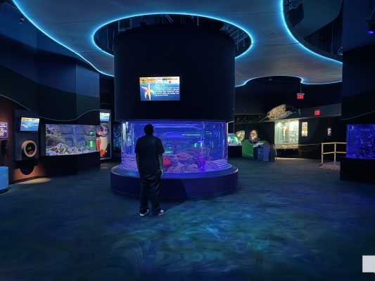 June 7, 2026 Ripleys Aquarium of Canada Toronto1382