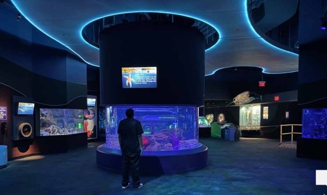 June 7, 2026 Ripleys Aquarium of Canada Toronto1382
