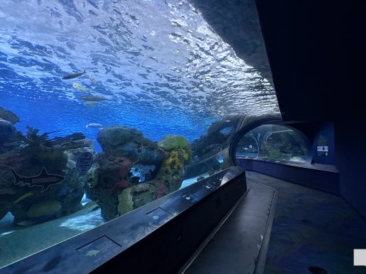 June 7, 2026 Ripleys Aquarium of Canada Toronto1383