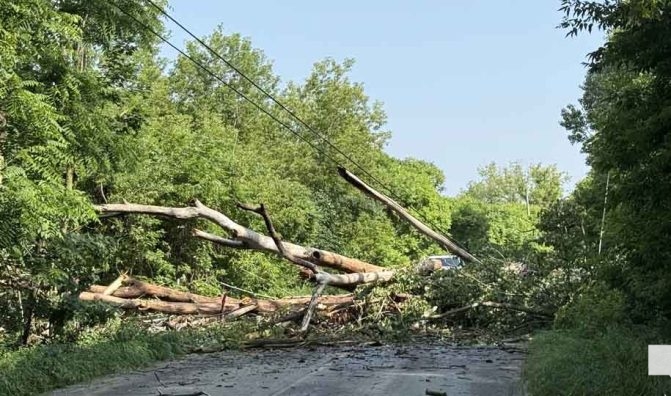 July 1, 2026 Tree Down Hoskin Road2340.JPEG