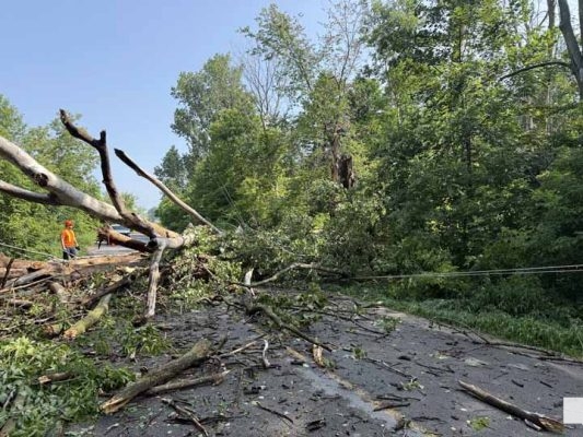 July 1, 2026 Tree Down Hoskin Road2341.JPEG