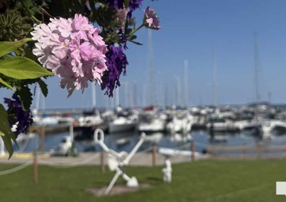 July 11, 2026 Victoria Beach Cobourg Harbour2734