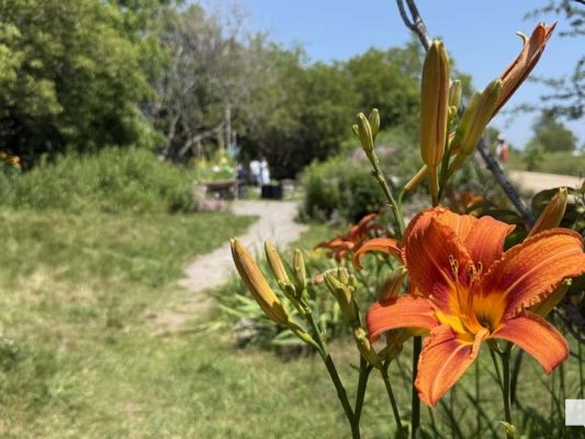 July 12, 2026 Cobourg Ecology Garden 30th Anniversary2782