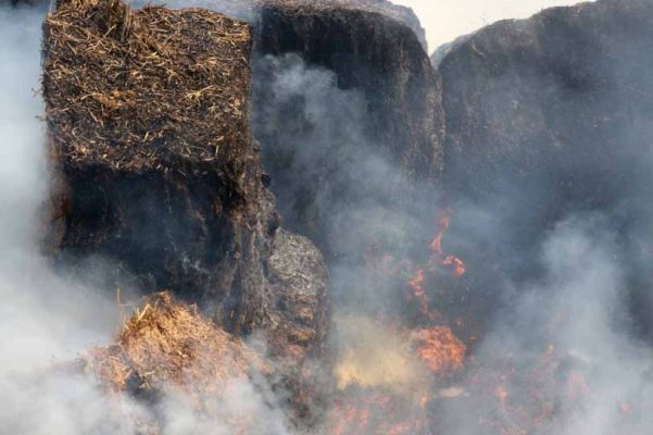July 16, 2026 Hay Straw Fire Cobourg2947