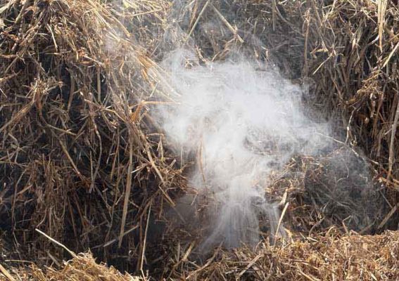 July 17, 2026 Straw Fire Cobourg3043