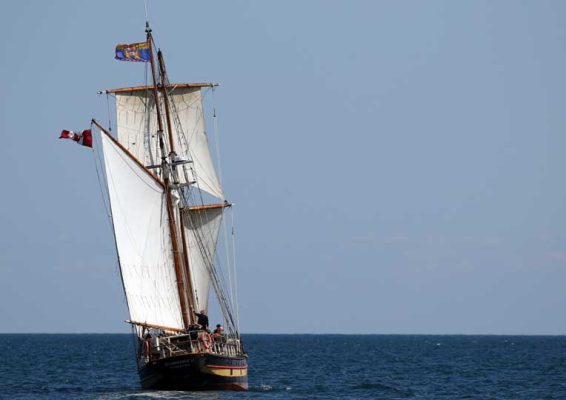 July 19, 2026 St Lawrence II Cobourg3103