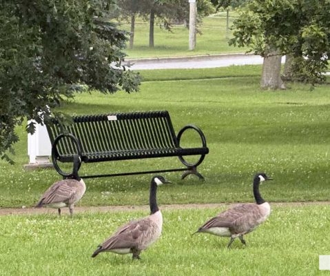 July 21, 2026 Neil Henley Bench3148