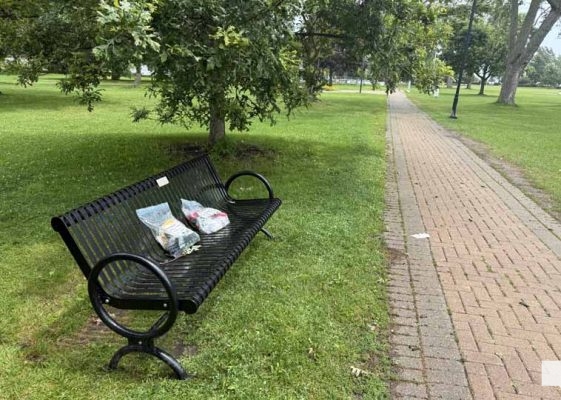 July 21, 2026 Neil Henley Bench3152