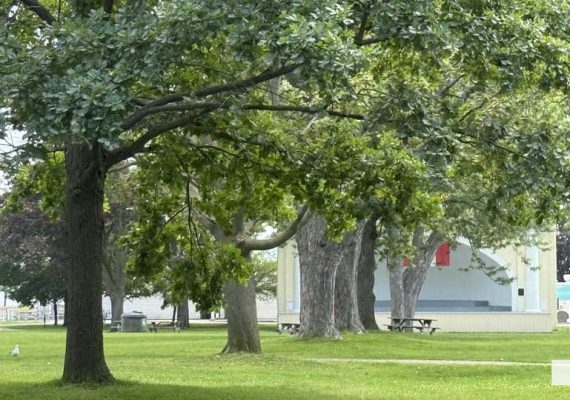 July 28, 2026 Victoria Park Lions Pavilion3294
