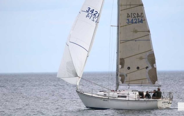 July 29, 2026 Sailing Cobourg Yacht Club3364