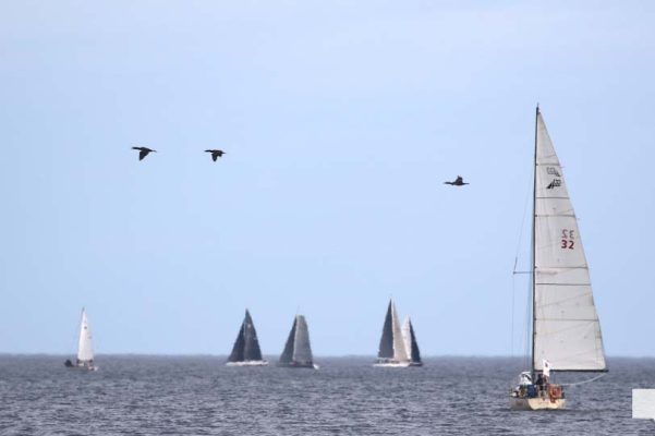 July 29, 2026 Sailing Cobourg Yacht Club3371
