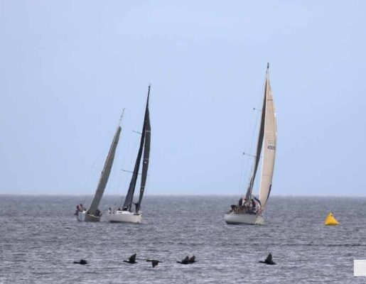 July 29, 2026 Sailing Cobourg Yacht Club3372