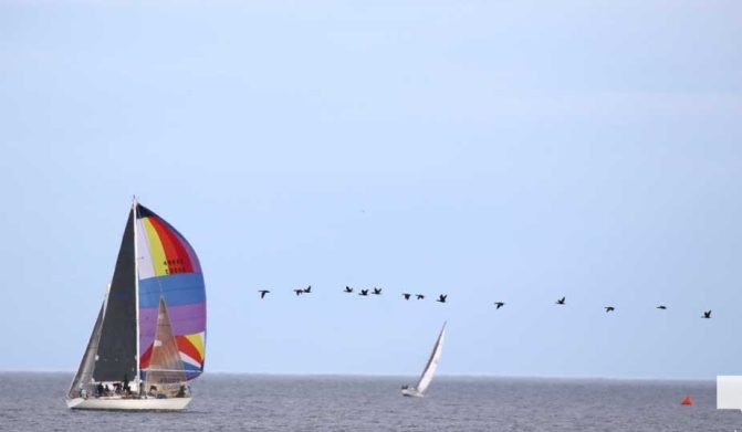 July 29, 2026 Sailing Cobourg Yacht Club3373