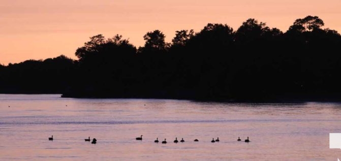 July 29, 2026 Sunset3354