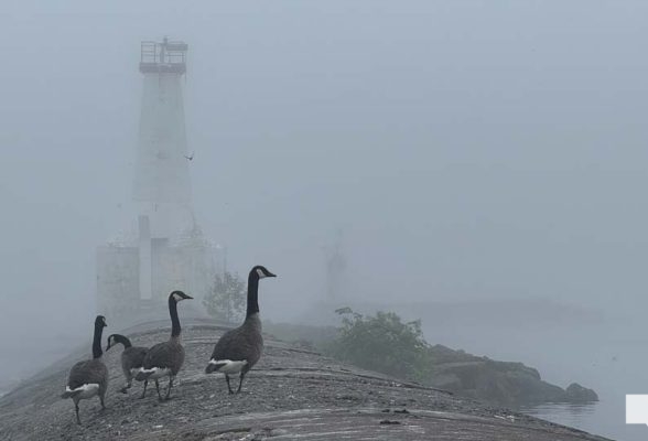 July 4, 2026 fog beach marina2486