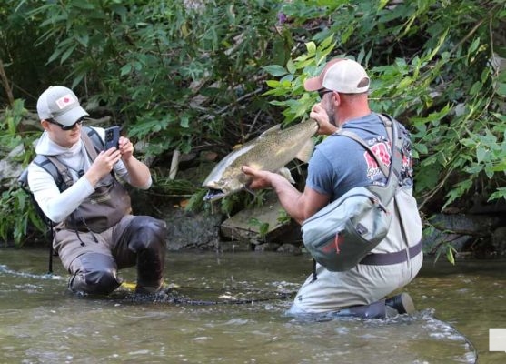 August 19, 2026 Salmon4274