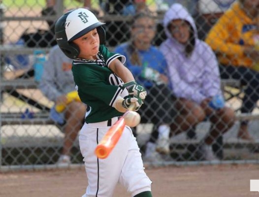 August 29, 2026 OBA 8u4656
