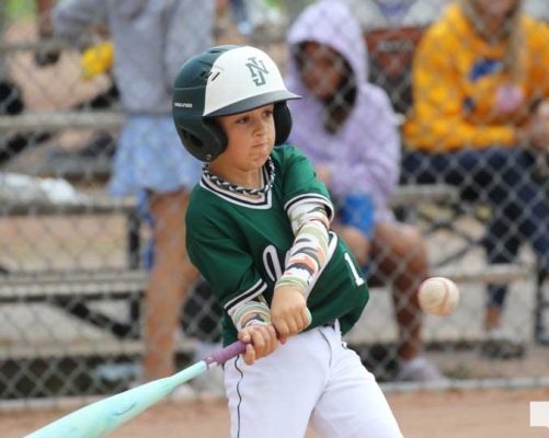 August 29, 2026 OBA 8u4661