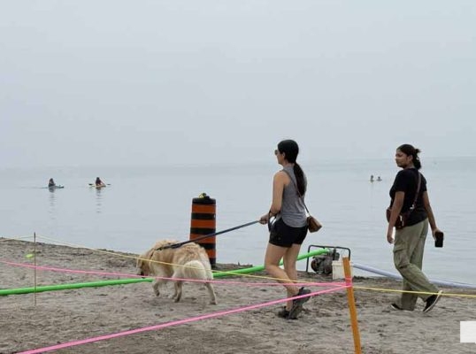 August 7, 2026 Sand Castle Festival Cobourg3794