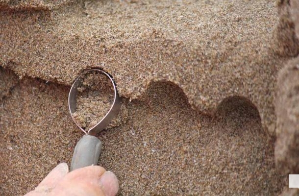 August 7, 2026 Sand Castle Festival Cobourg3799