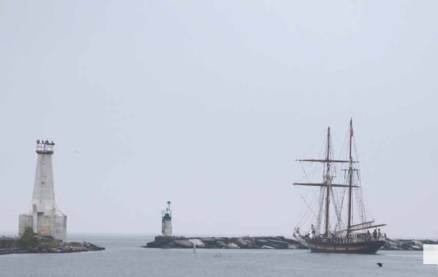August 7, 2026 St Lawrence II3780
