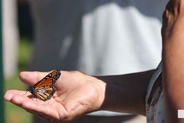 September 11, 2026 Butterfly Release Port Hope 5175