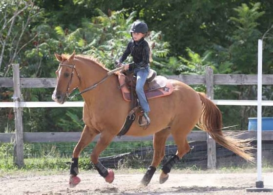 September 12, 2026 Warkworth Fair 5146