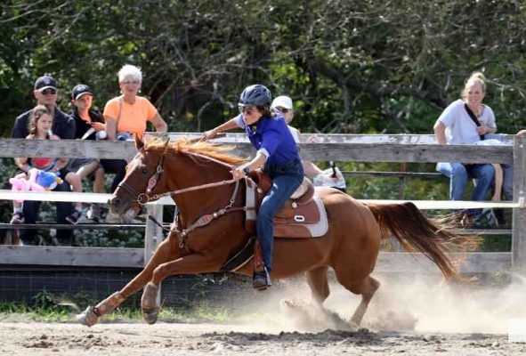 September 12, 2026 Warkworth Fair 5150