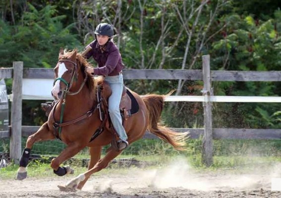 September 12, 2026 Warkworth Fair 5158