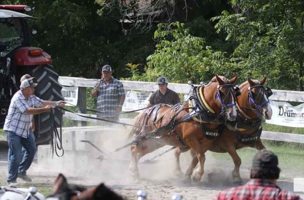 September 12, 2026 Warkworth Fair 5162