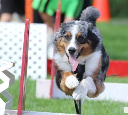 September 12, 2026 Warkworth Fair 5164
