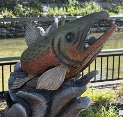 September 13, 2026 Run Salmon Run 5183