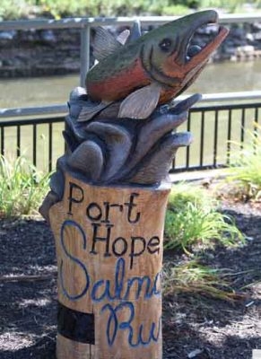 September 13, 2026 Run Salmon Run 5189