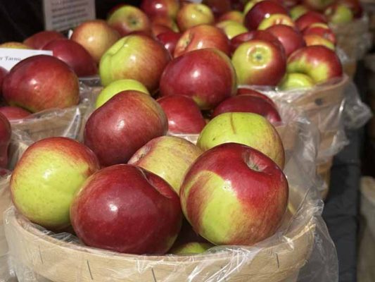 September 26, 2026 Brighton Applefest 5710