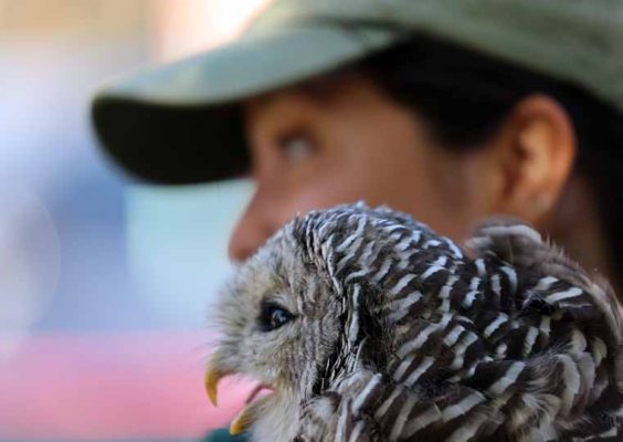 September 27, 2026 Turkey Vulture Festival Greg Keelor Port Hope 5605