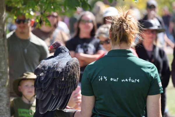 September 27, 2026 Turkey Vulture Festival Greg Keelor Port Hope 5615