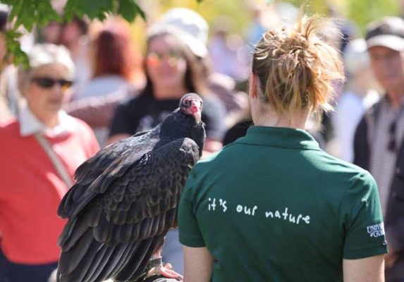 September 27, 2026 Turkey Vulture Festival Greg Keelor Port Hope 5616