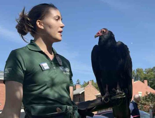 September 27, 2026 Turkey Vulture Festival Greg Keelor Port Hope 5650