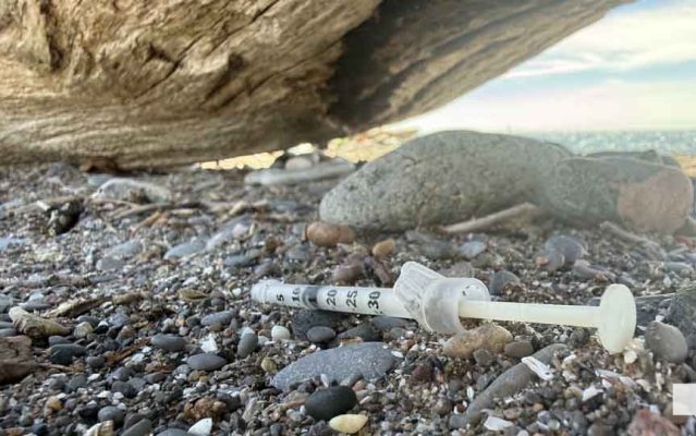 September 3, 2026 west beach cobourg needle4847