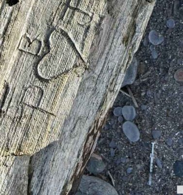September 3, 2026 west beach cobourg needle4848