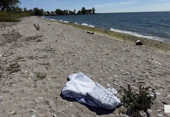 September 3, 2026 west beach cobourg needle4850