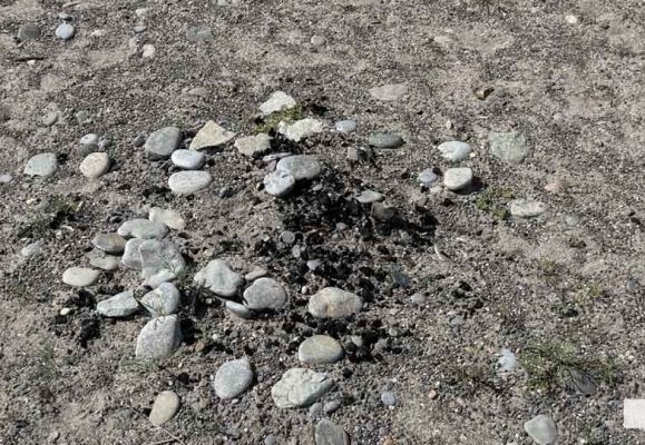 September 3, 2026 west beach cobourg needle4854