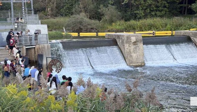 September 5, 2026 Ganaraska River4874