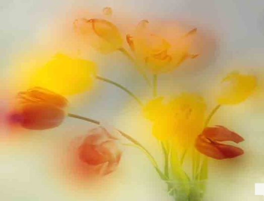 !cid_2dc63ebc-8199-ad86-ad7d-7cc348299d21@yahoo