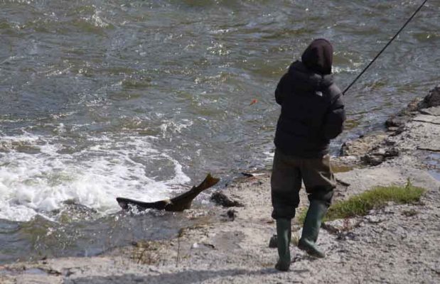 October 15, 2026 Salmon Ganaraska River 5969