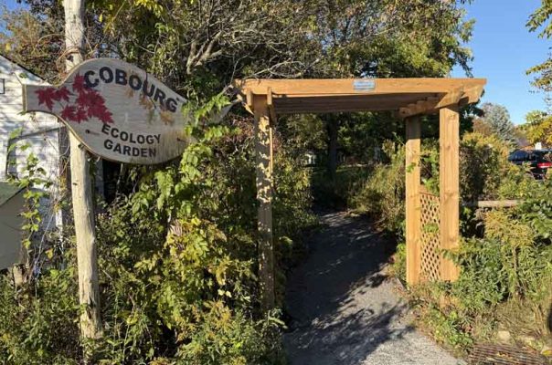 October 17, 2026 Fire Cobourg Ecology Garden 6073