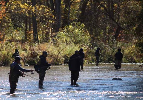 October 17, 2026 Ganaraska River Fishing 6111