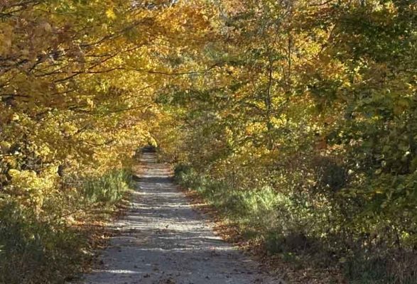 October 18, 2026 Fall Colours 6141